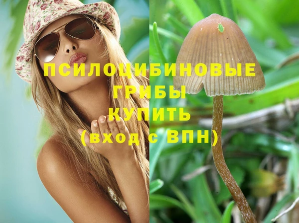 прущие грибы Остров