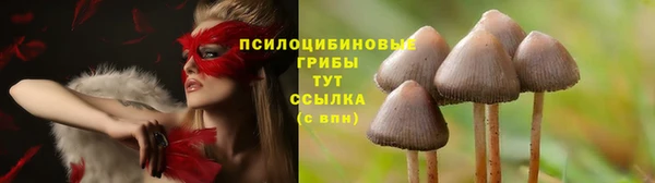 соль курить ск Пересвет