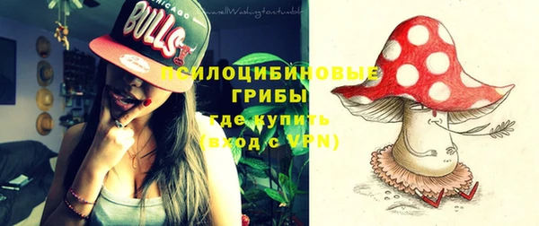 mix Пестово